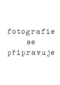 DocNoPhoto